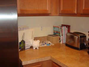 Nebulizer station